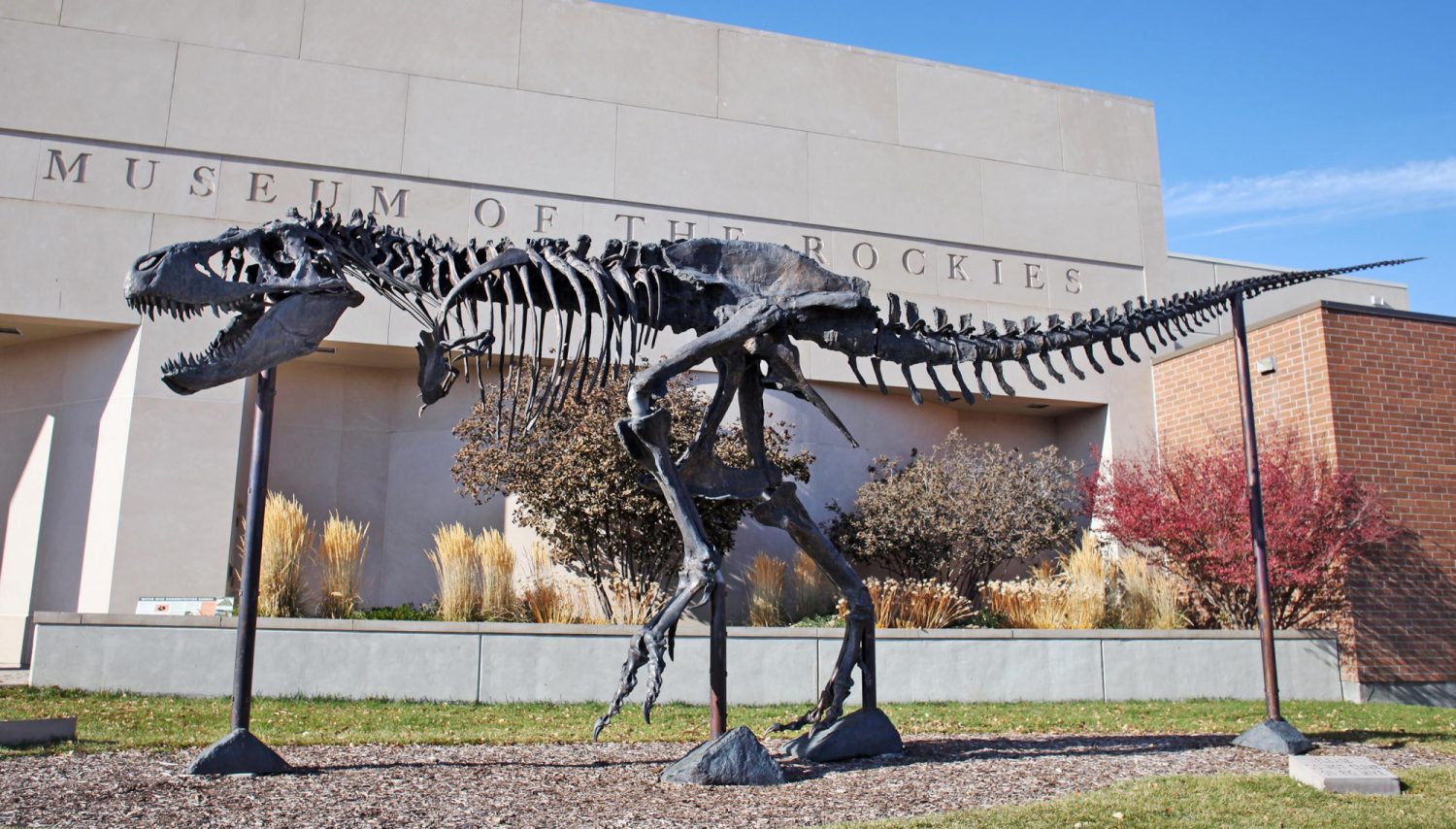Museum of the Rockies (Bozeman)