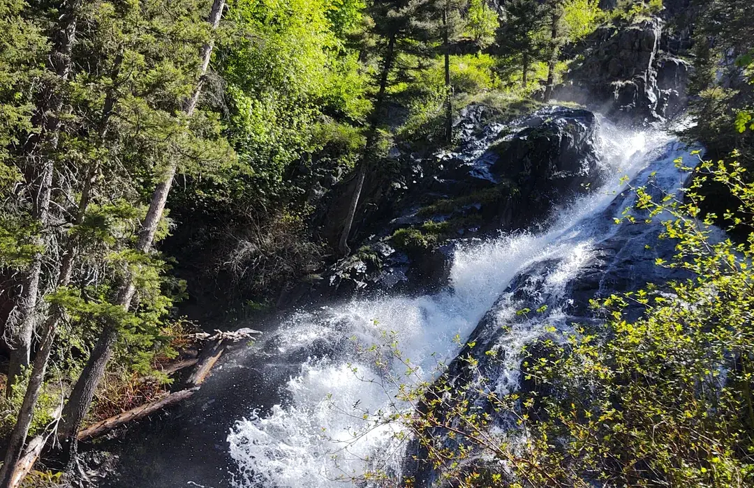 Pine Creek Falls & Pine Creek Lake Trail
